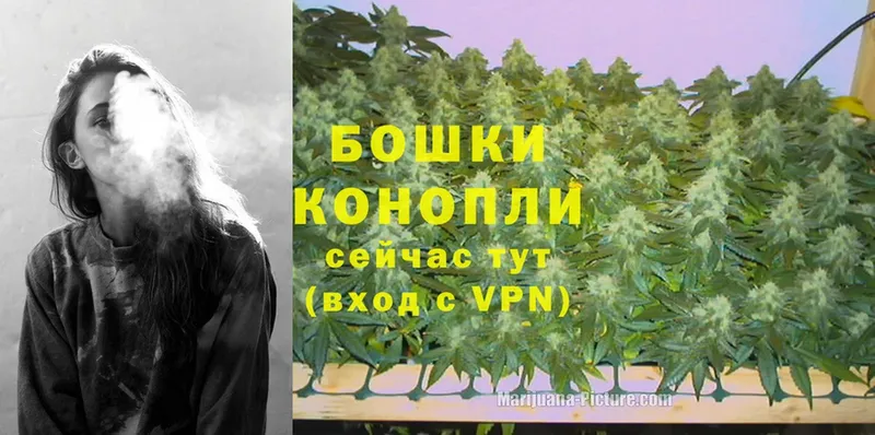 Бошки Шишки OG Kush  Минусинск 